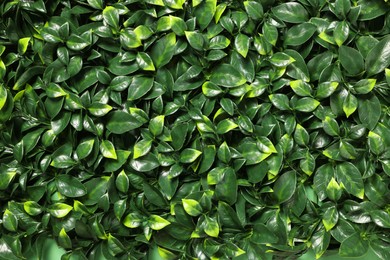 Photo of Green artificial plants as background, closeup view