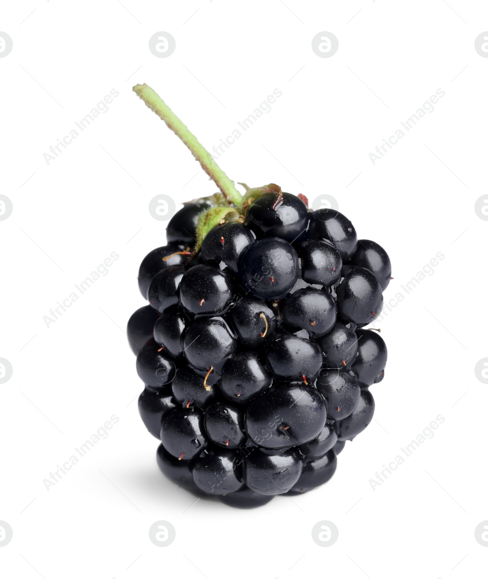 Photo of One tasty ripe blackberry isolated on white