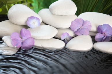 Photo of Zen stones and beautiful exotic flowers in water