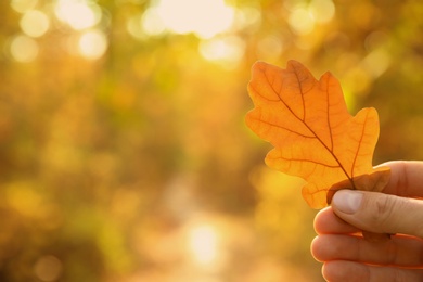 Woman holding autumn leaf in park. Space for text