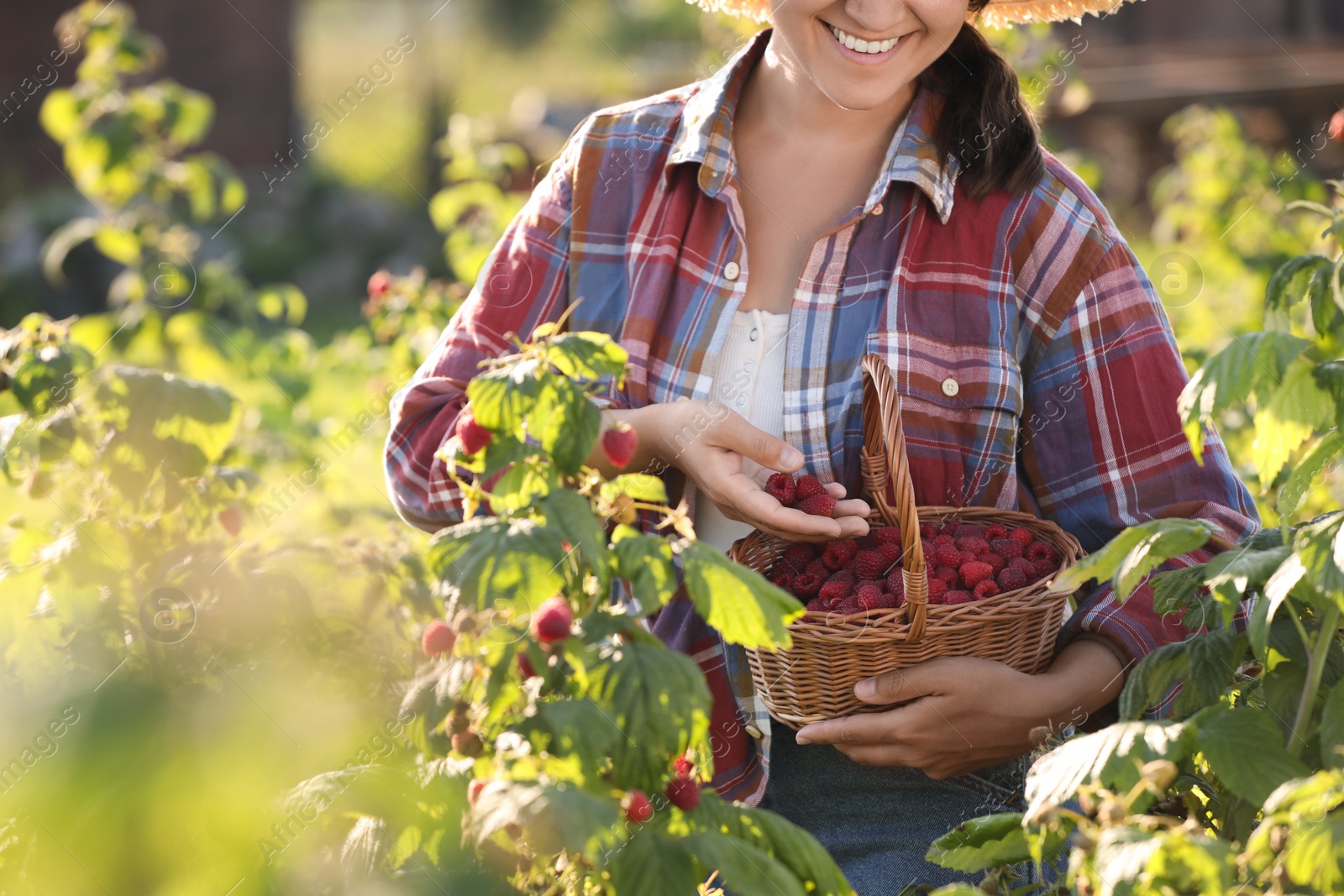 Photo of Woman holding wicker basket with ripe raspberries outdoors, closeup