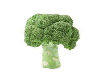 Photo of Fresh raw green broccoli isolated on white