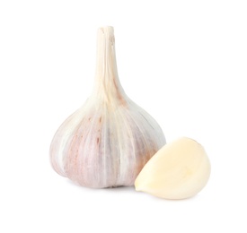 Fresh organic garlic bulb and clove on white background