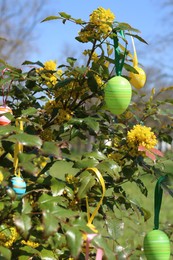 Photo of Beautifully painted Easter eggs hanging on tree outdoors, closeup