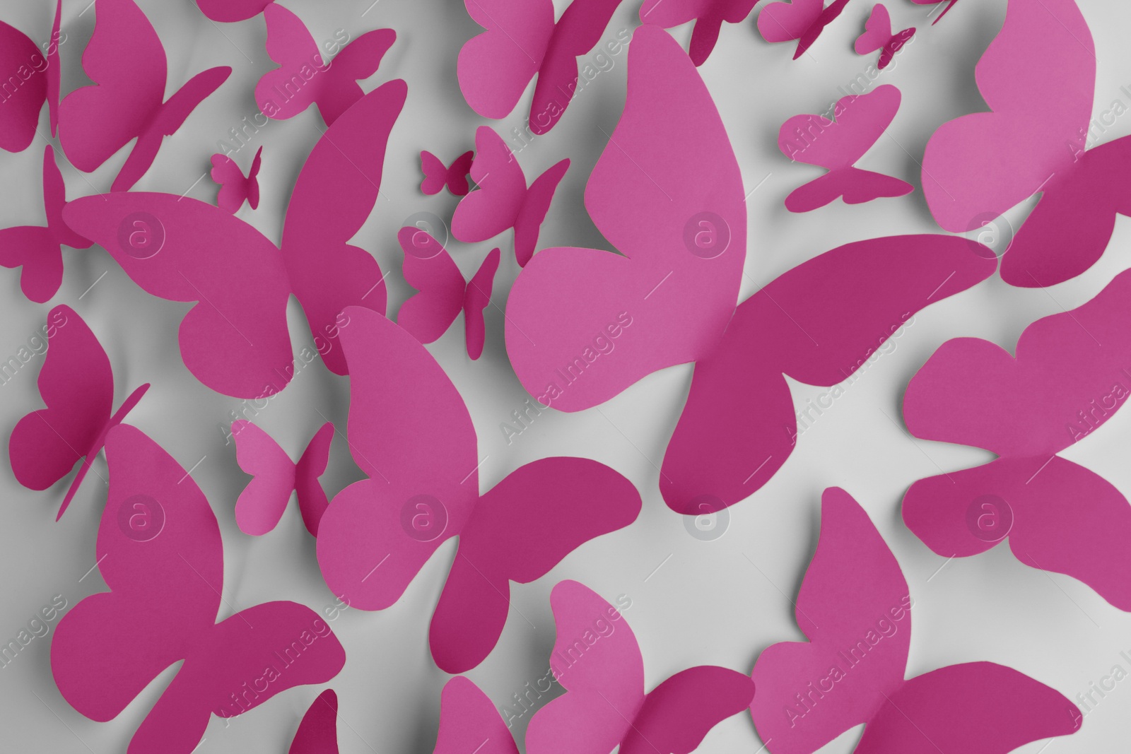 Image of Bright pink paper butterflies on white wall