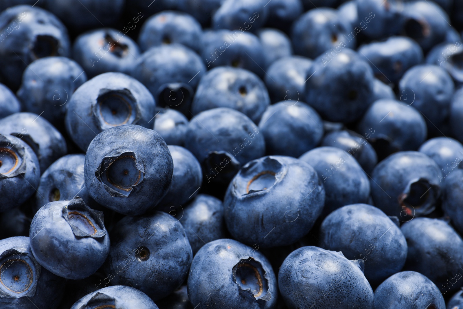 Photo of Tasty fresh blueberries as background, closeup view