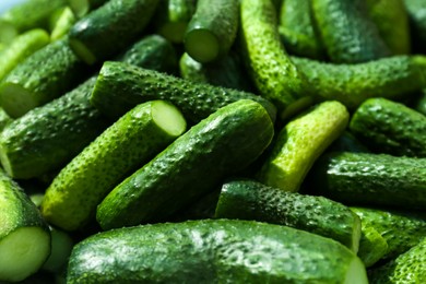 Photo of Many fresh ripe cucumbers as background, closeup. Pickling vegetables