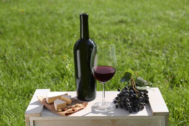 Photo of Red wine and snacks for picnic served on green grass outdoors
