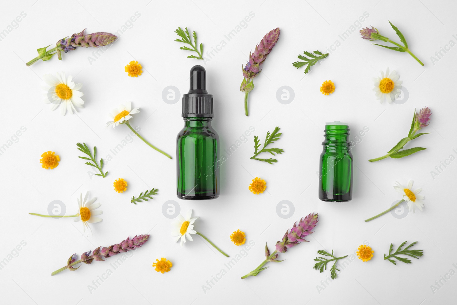 Photo of Bottles of different essential oils and wildflowers on white background, top view