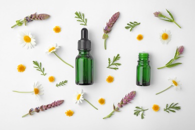 Photo of Bottles of different essential oils and wildflowers on white background, top view
