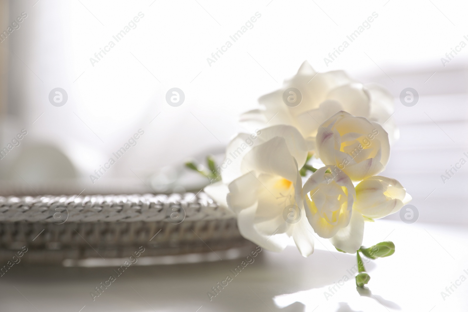 Photo of Beautiful freesia flowers on white table indoors, closeup