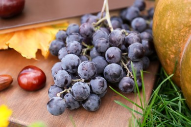 Delicious grapes and chestnuts on wooden board outdoors, closeup. Autumn harvest