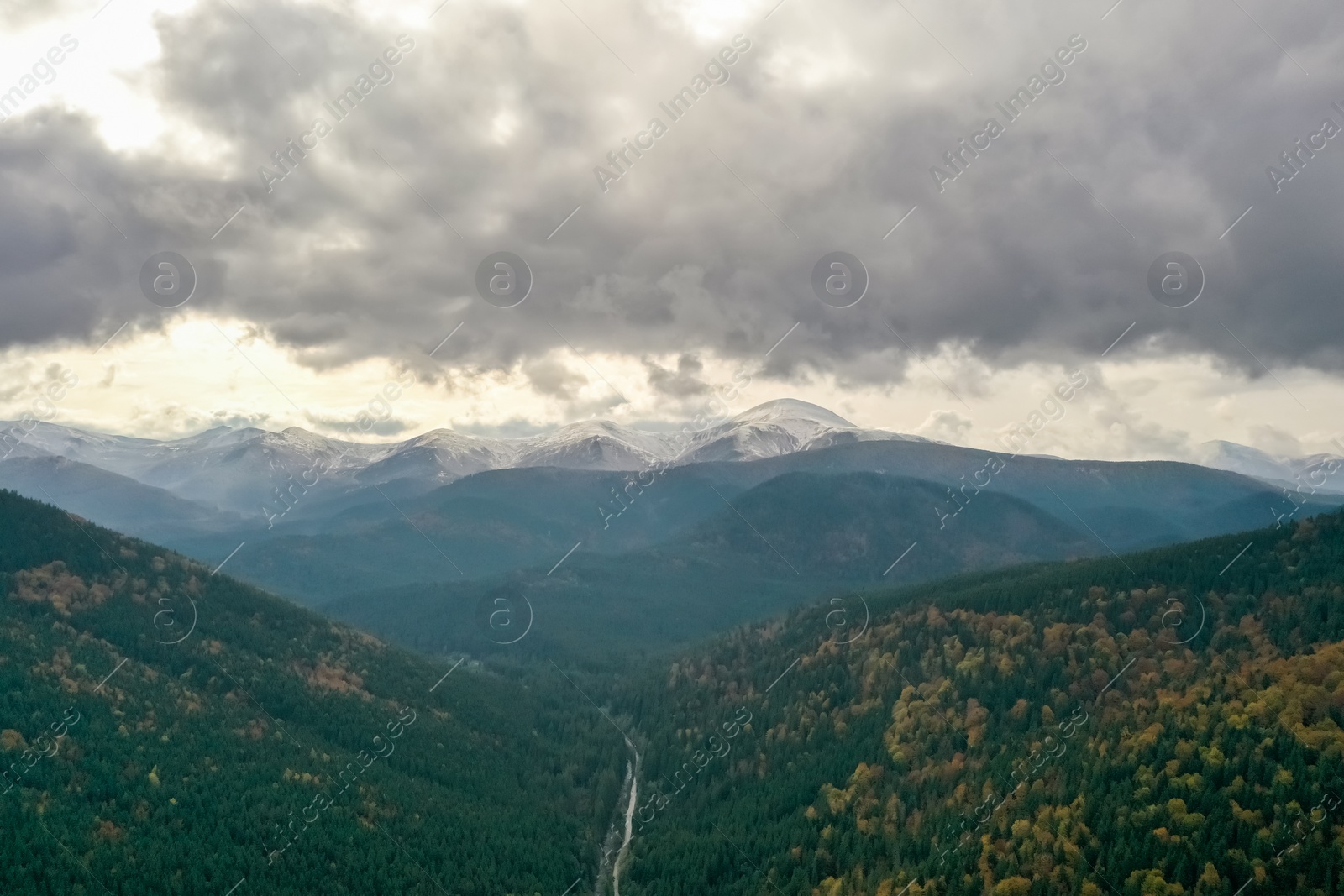 Photo of Aerial view of beautiful forest and empty road in mountains on autumn day