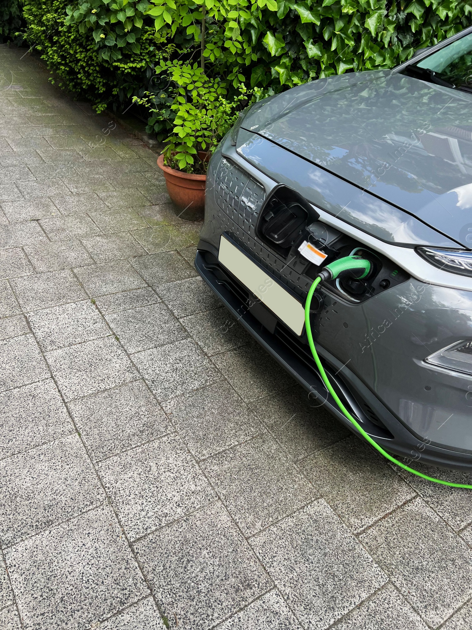 Photo of Charging modern electric car outdoors on spring day