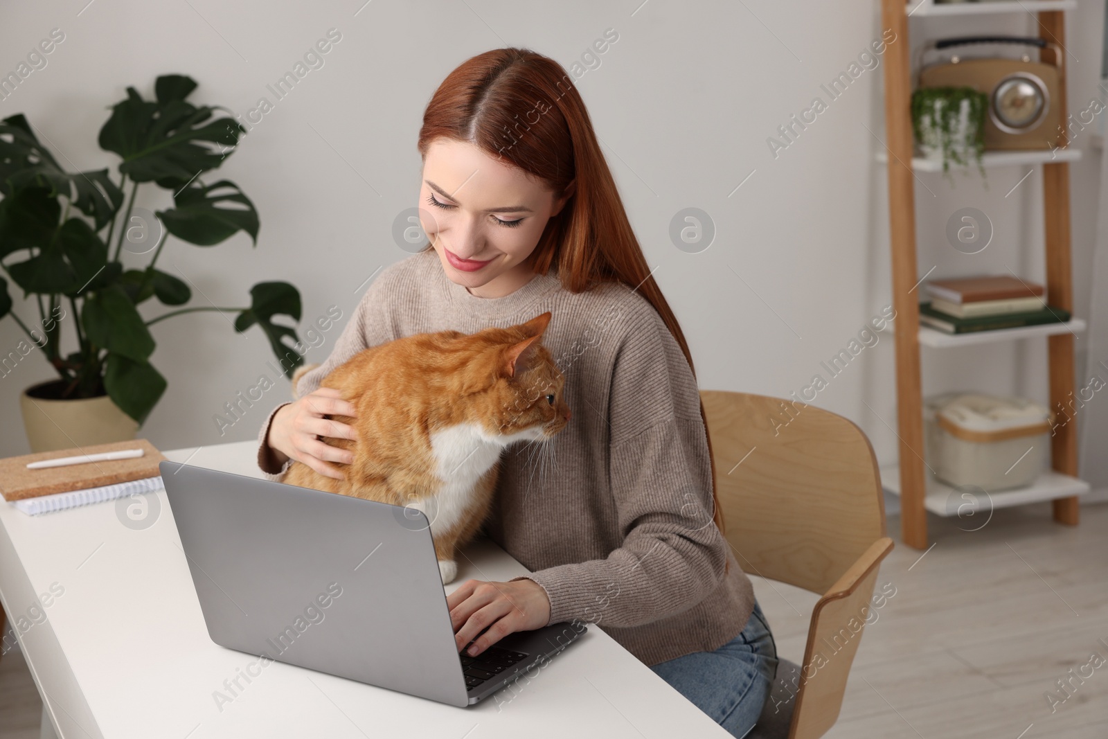 Photo of Woman with cat working at desk. Home office