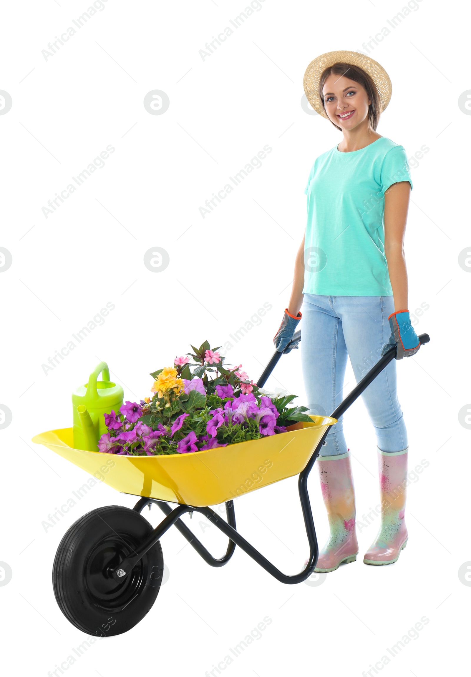 Photo of Female gardener with wheelbarrow and plants on white background