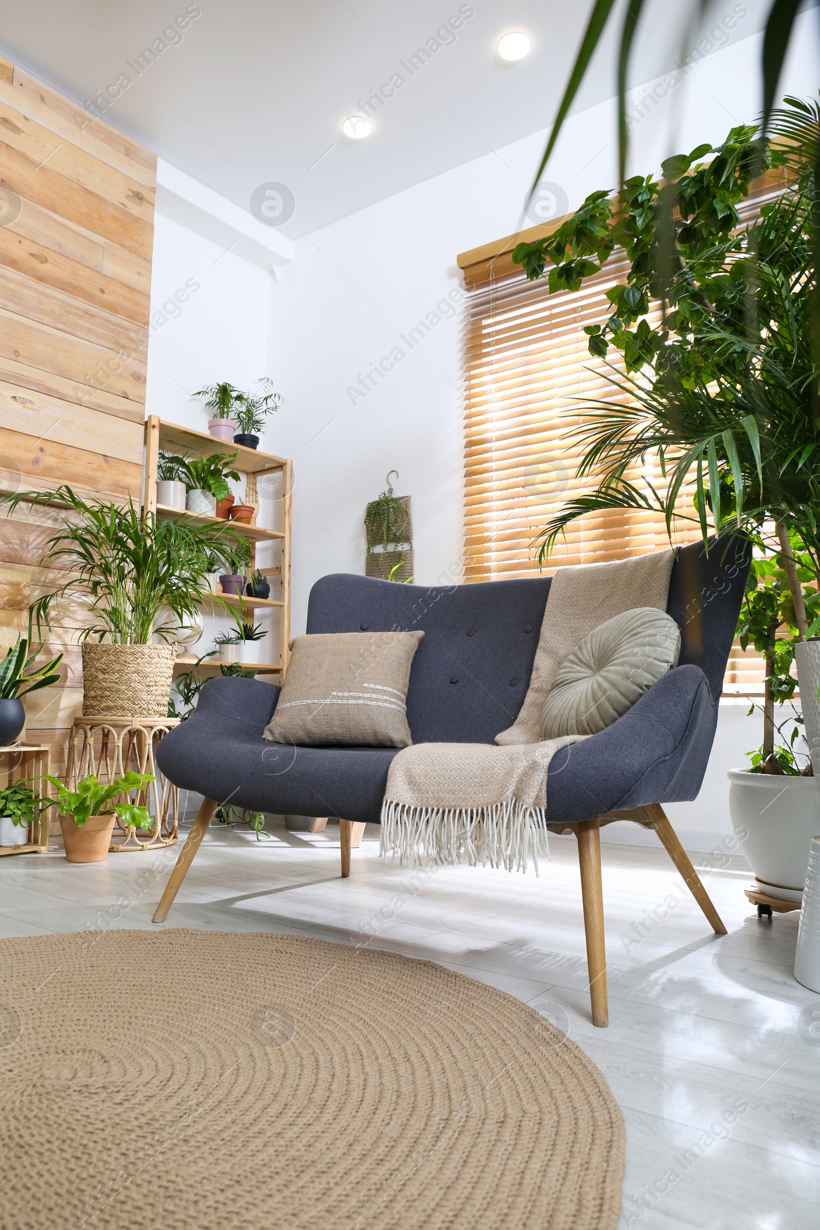 Photo of Comfortable sofa and beautiful houseplants in room. Lounge area interior