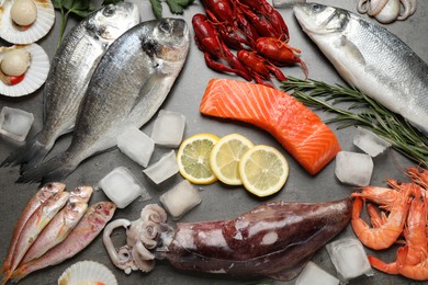 Photo of Fresh fish and seafood on grey table, flat lay