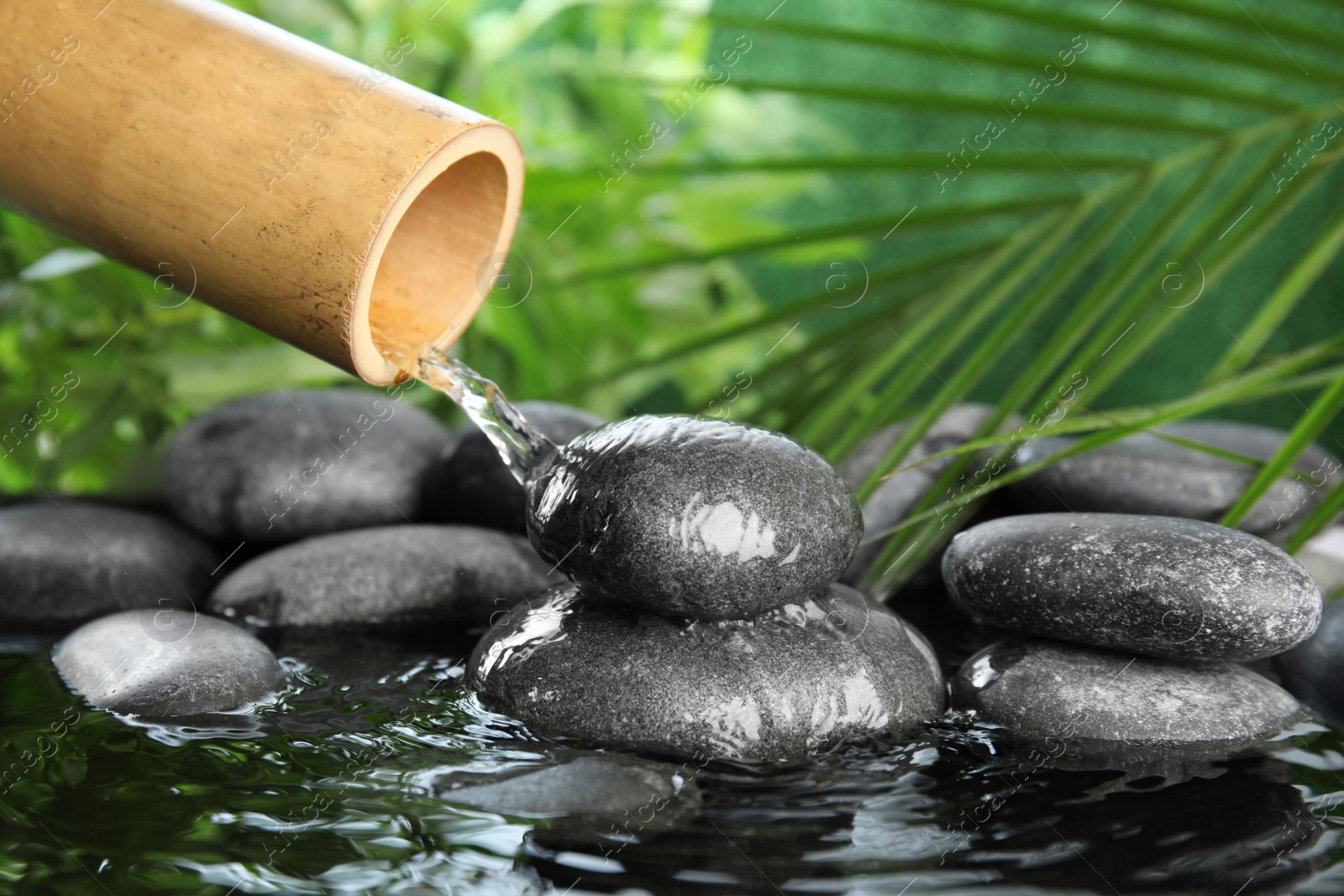 Photo of Traditional bamboo fountain with zen stones. Space for text