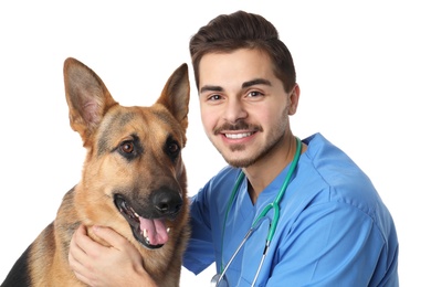 Photo of Veterinarian doc with dog on white background