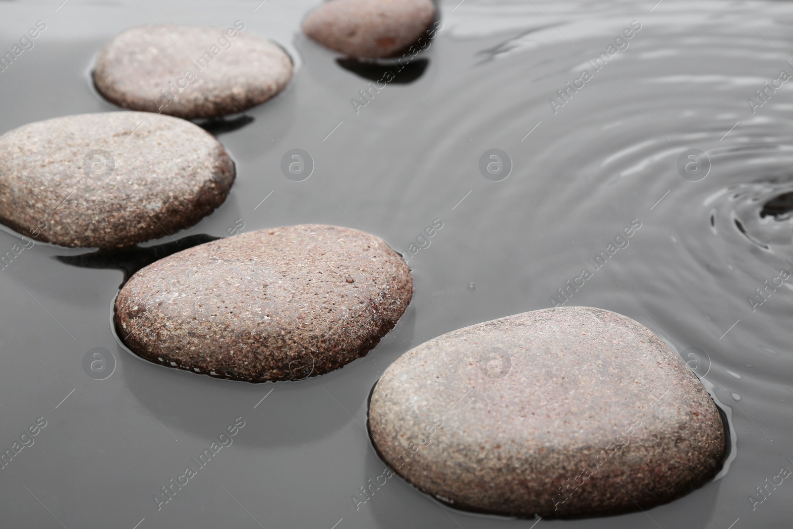 Photo of Beautiful spa stones in water. Zen lifestyle