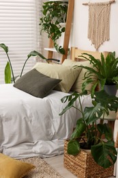 Large comfortable bed and potted houseplants in stylish bedroom. Interior design