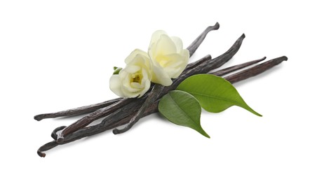 Photo of Vanilla pods, green leaves and flowers isolated on white