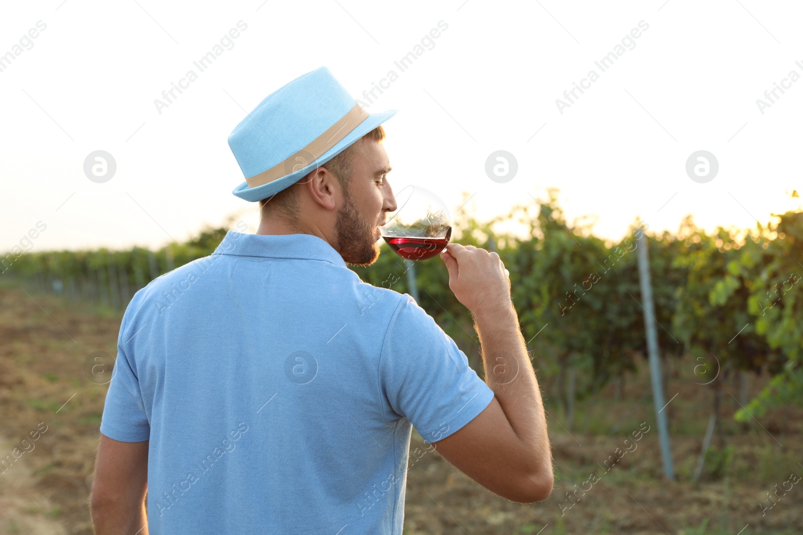 Photo of Young handsome man enjoying wine at vineyard on sunny day