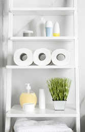 Toilet paper rolls on shelving unit in bathroom