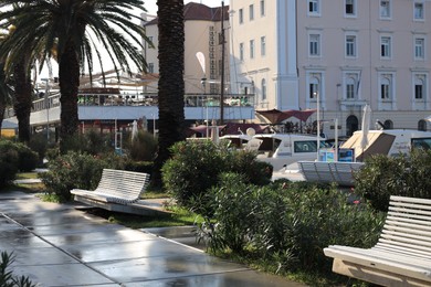 Photo of Beautiful view of city street with buildings, white wooden benches and green plants