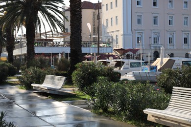 Beautiful view of city street with buildings, white wooden benches and green plants