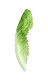 Fresh leaf of green romaine lettuce isolated on white