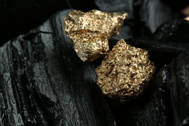 Photo of Two shiny gold nuggets on coal, closeup