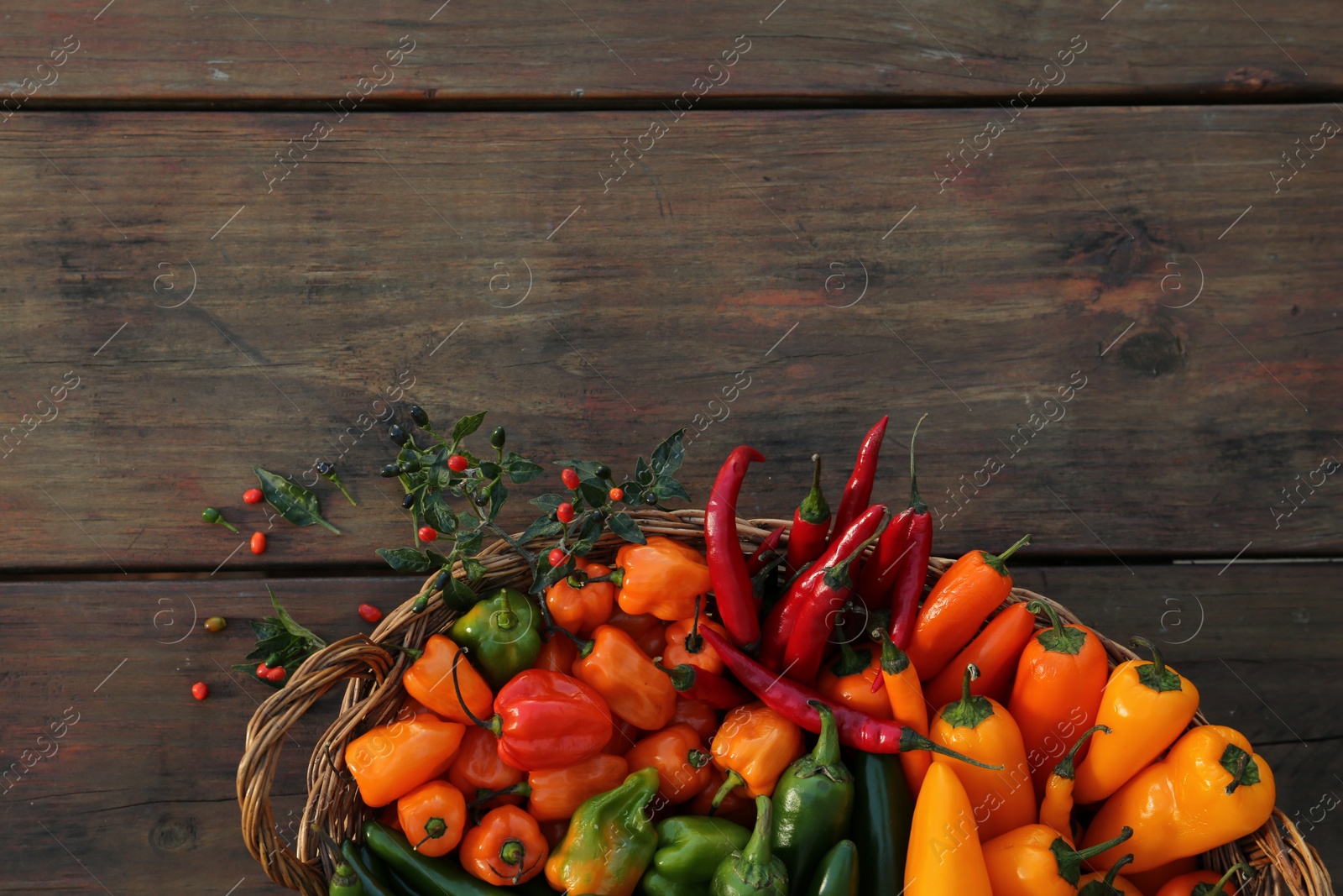 Photo of Wicker basket with many different fresh chilli peppers on wooden table, top view. Space for text