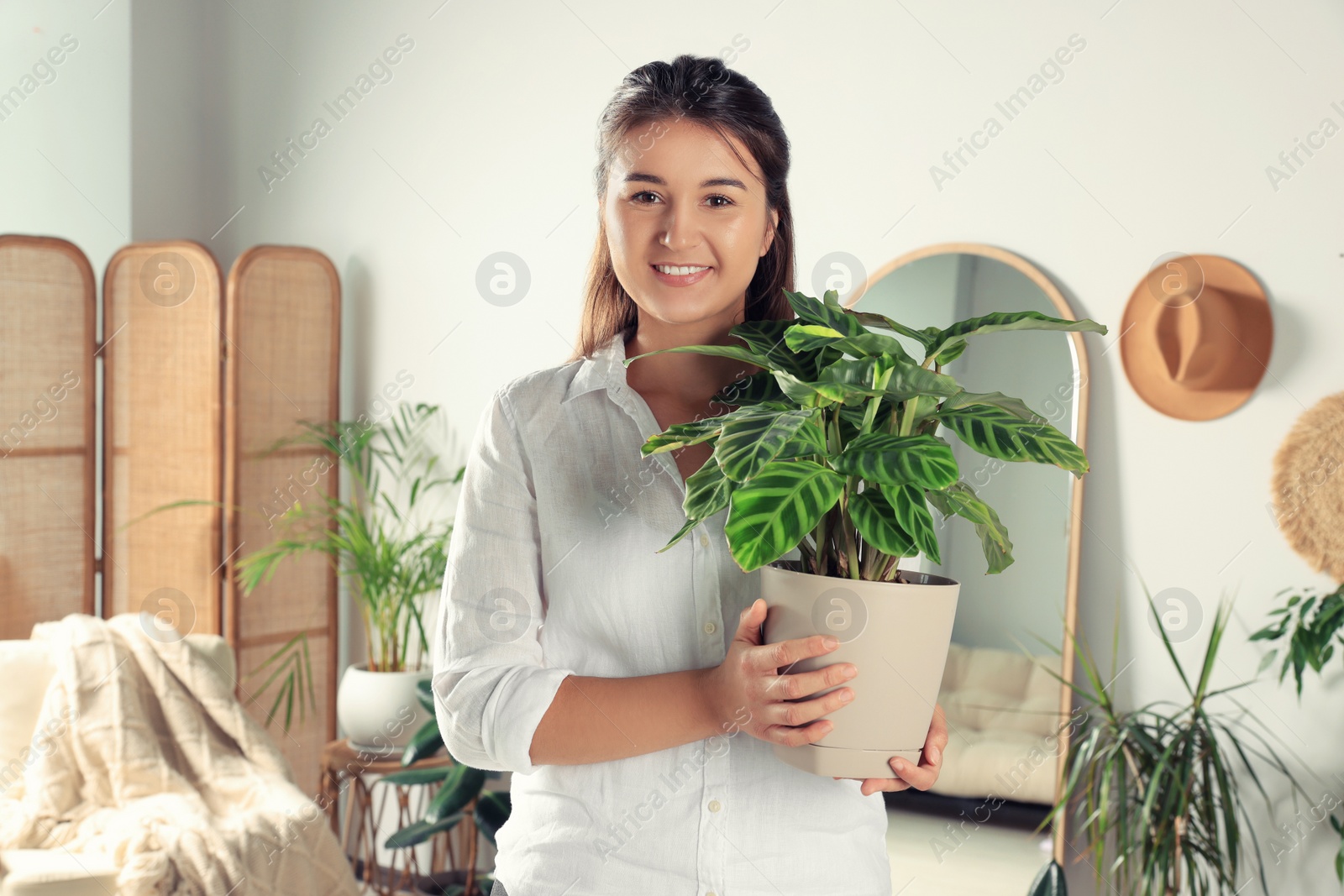Photo of Happy young woman holding pot with houseplant in room