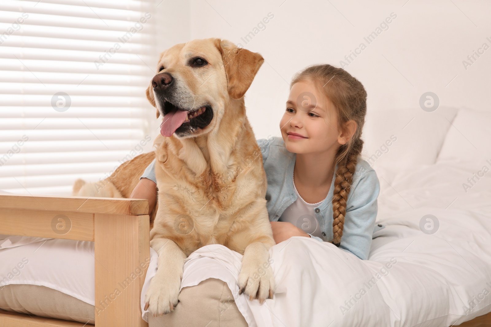 Photo of Young girl with her adorable dog on bed at home
