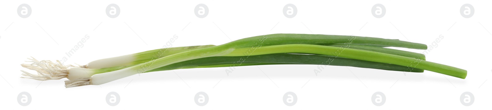 Photo of Fresh green spring onions on white background