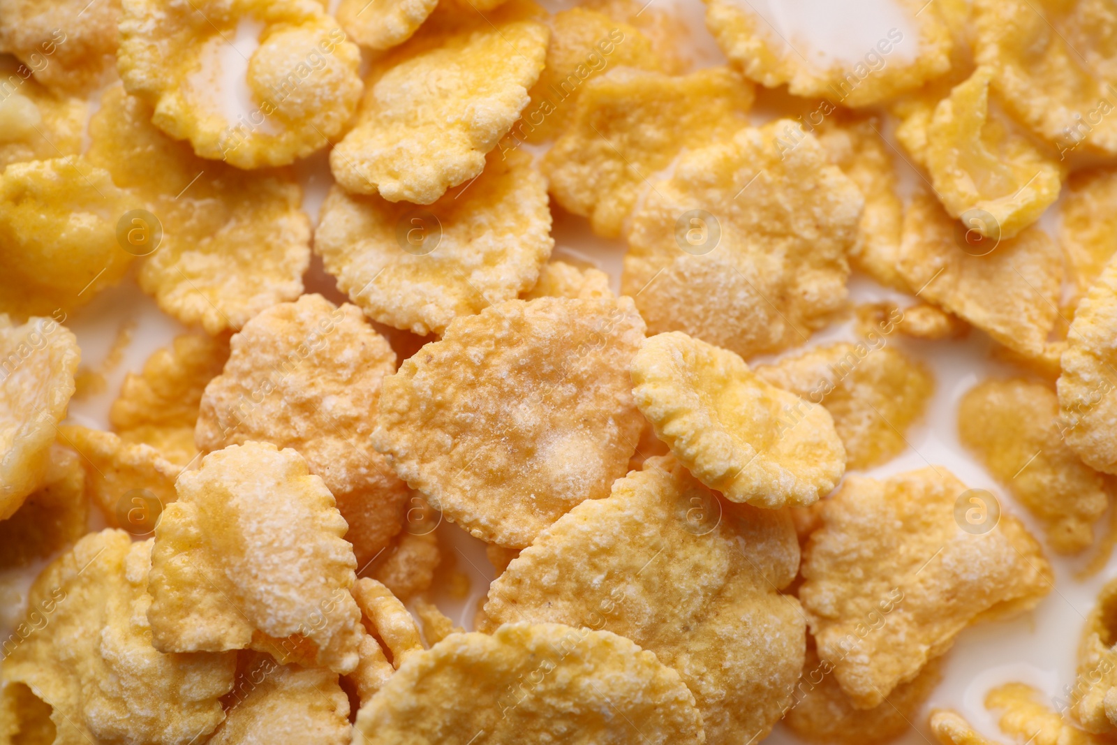 Photo of Tasty cornflakes with milk as background, closeup