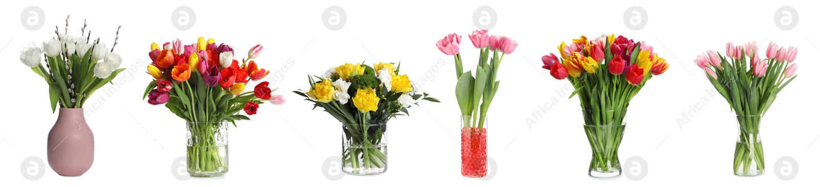 Image of Collage with many beautiful flowers in different vases on white background