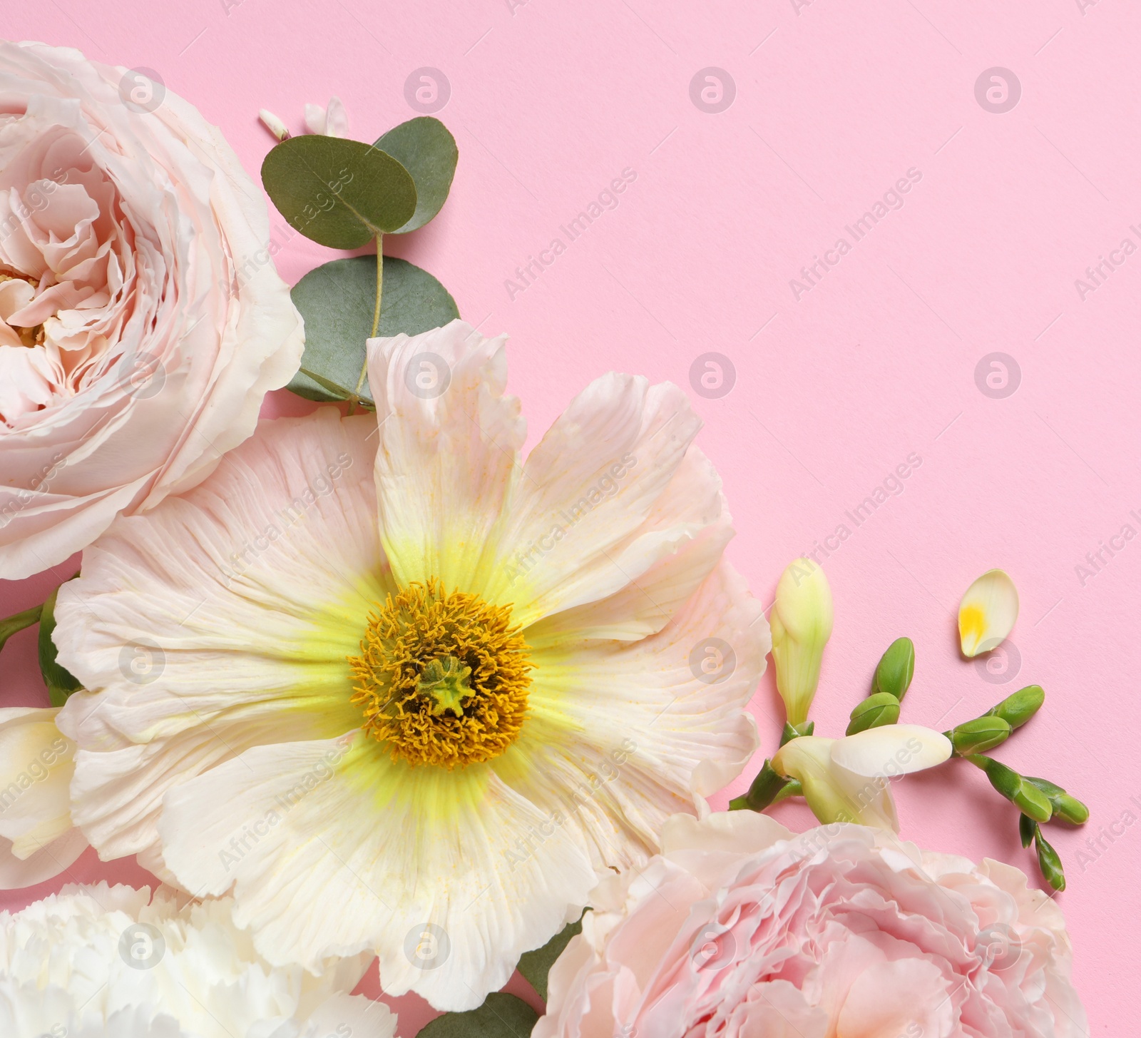 Photo of Flat lay composition with different beautiful flowers on pink background. Space for text