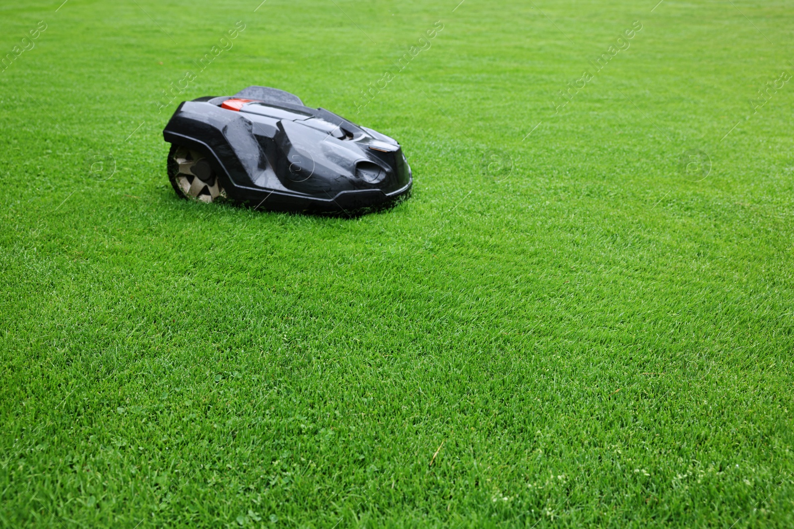 Photo of Modern lawn mower on green grass outdoors. Space for text