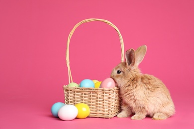 Photo of Adorable furry Easter bunny near wicker basket and dyed eggs on color background