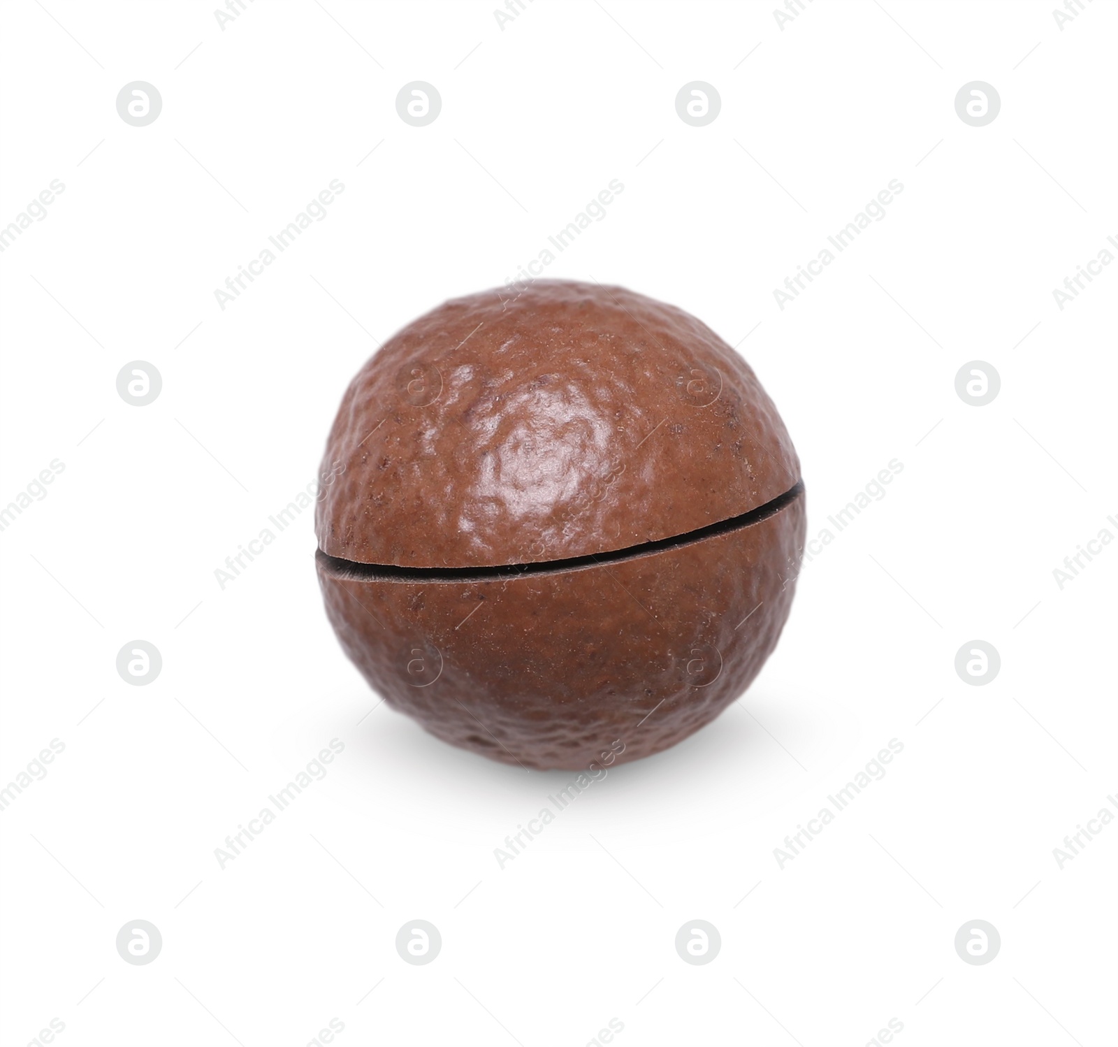 Photo of Delicious organic Macadamia nut isolated on white, top view