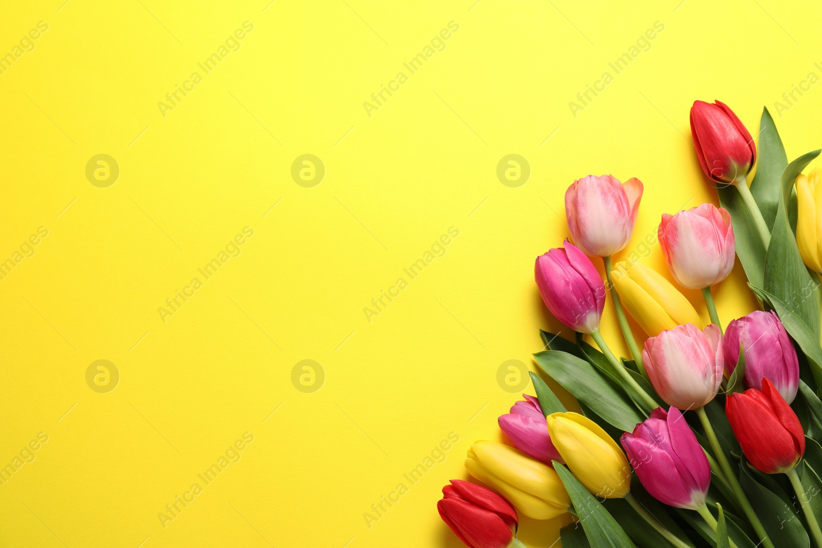 Photo of Beautiful colorful tulip flowers on yellow background, flat lay. Space for text