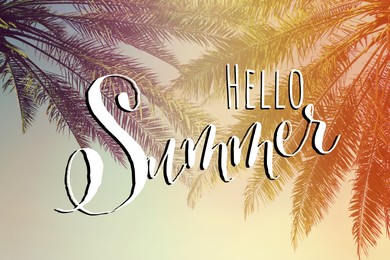 Image of Hello Summer. Beautiful tropical palm trees outdoors