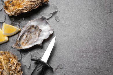 Photo of Fresh oysters with lemon and ice on grey table, space for text