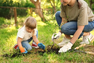 Photo of Mother and her daughter planting tree together in garden