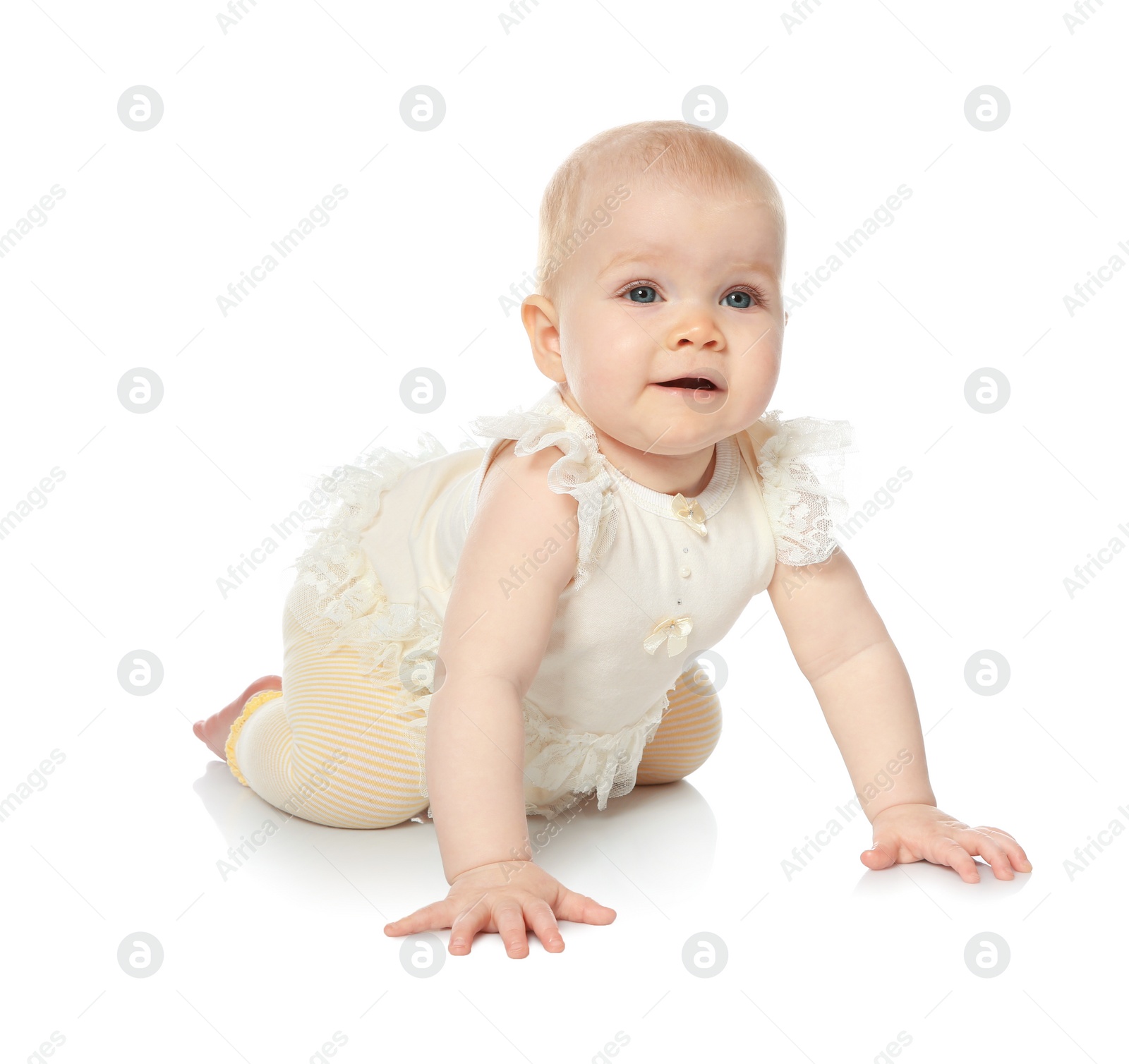 Photo of Cute little baby crawling on white background