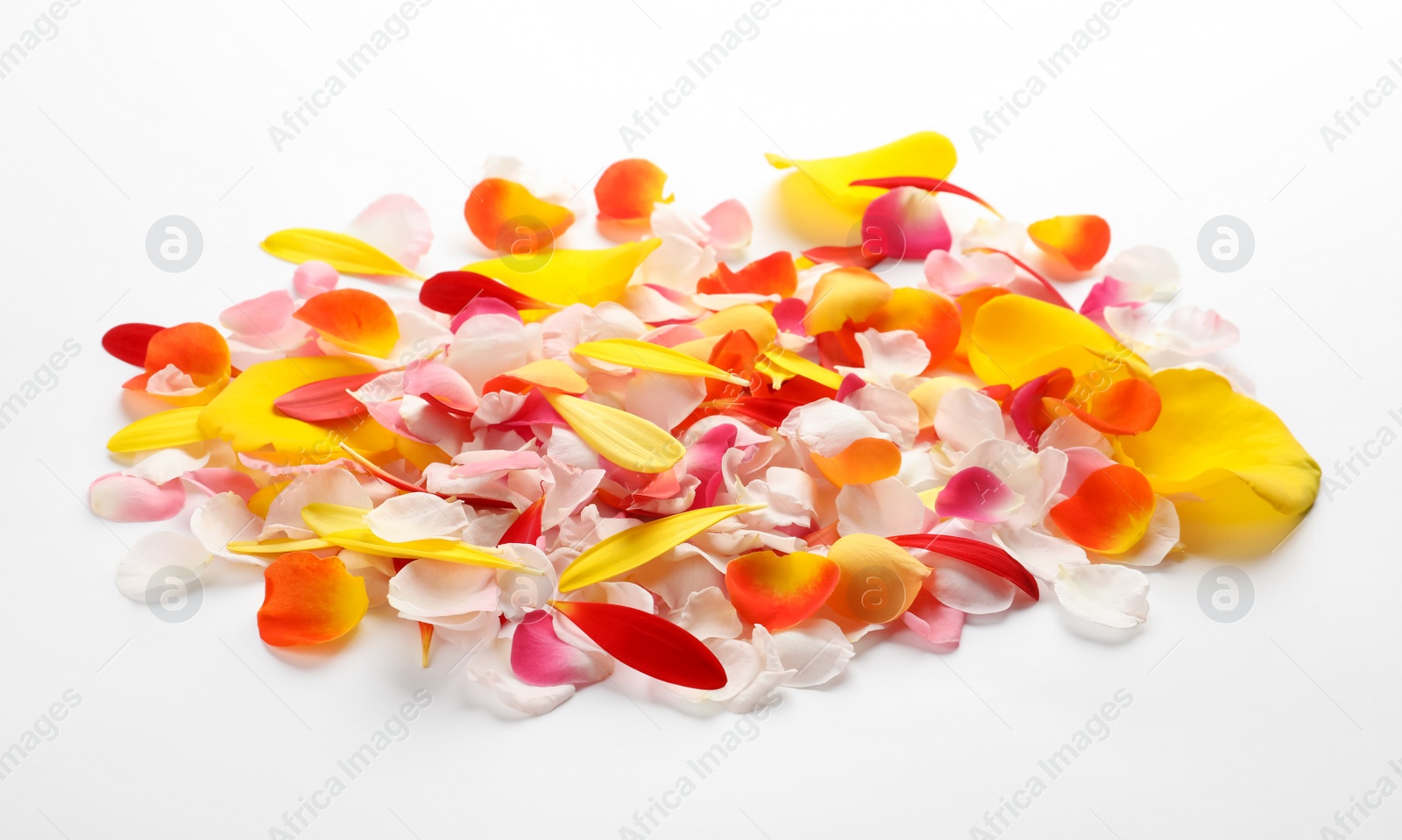 Photo of Pile of beautiful petals on white background