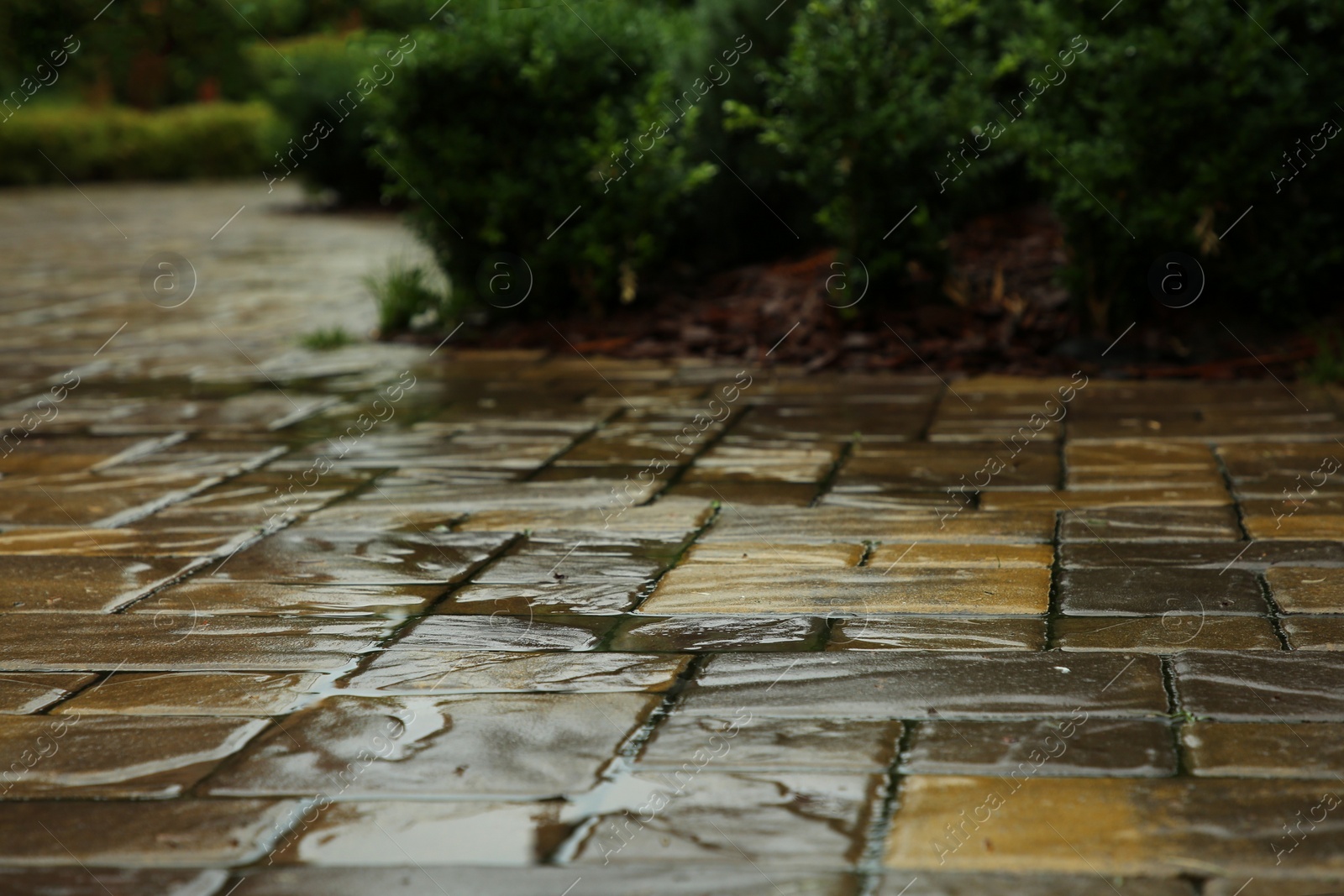 Photo of Wet street tiles outdoors on rainy day